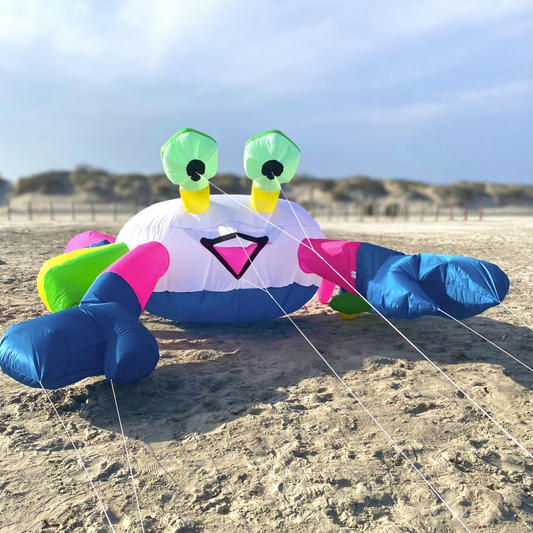 Colorful kite shaped like a crab on a sandy beach