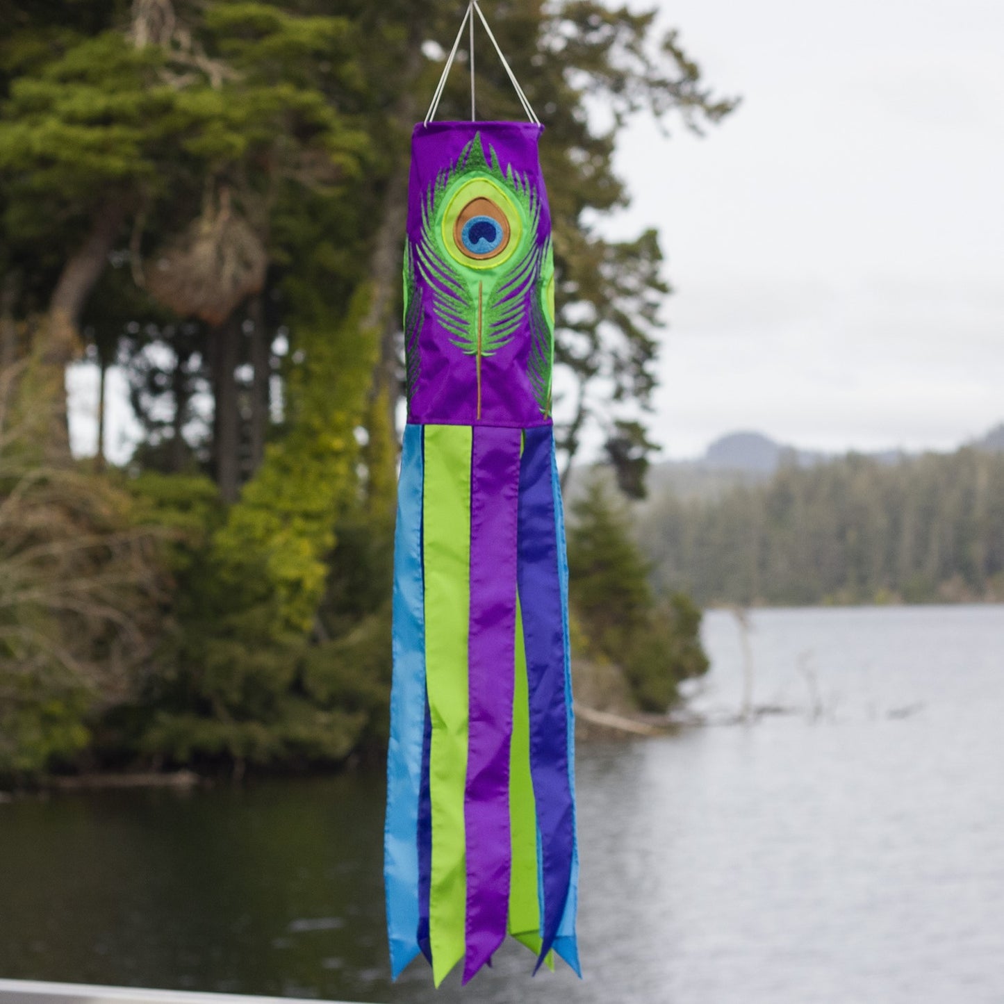 Peacock Feathers Windsock