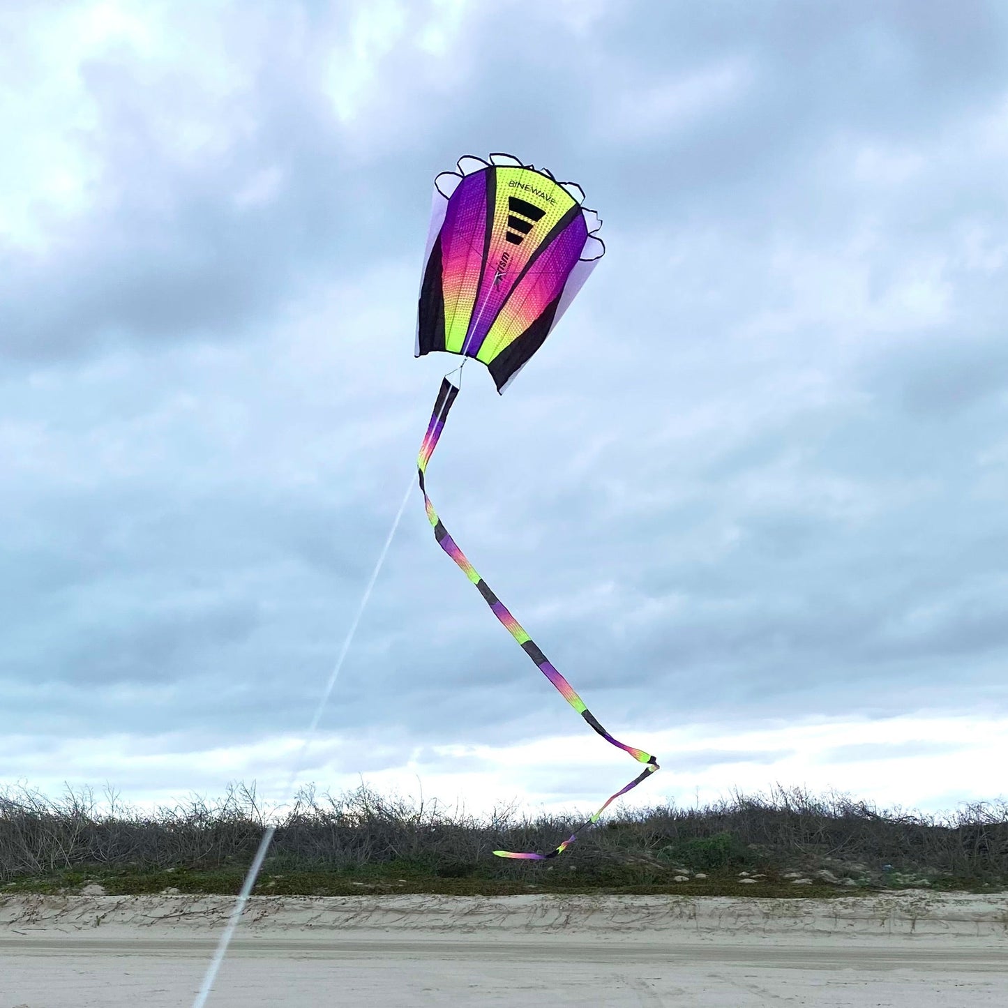 Colorful kite flying on a sandy beach with a cloudy sky.