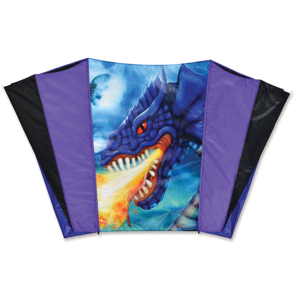 Folded dragon-themed kite with purple and black borders on a white background