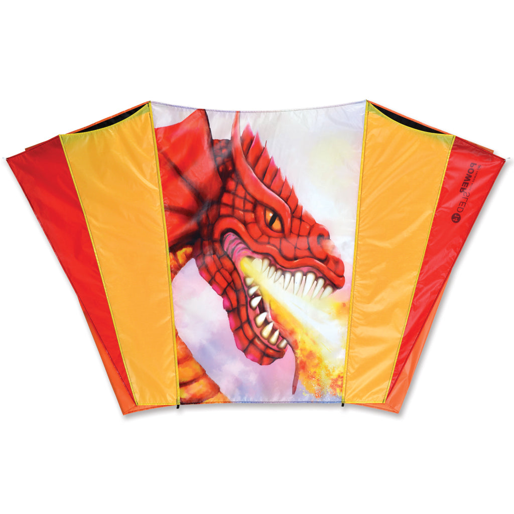 Kite with a red dragon design on a white background