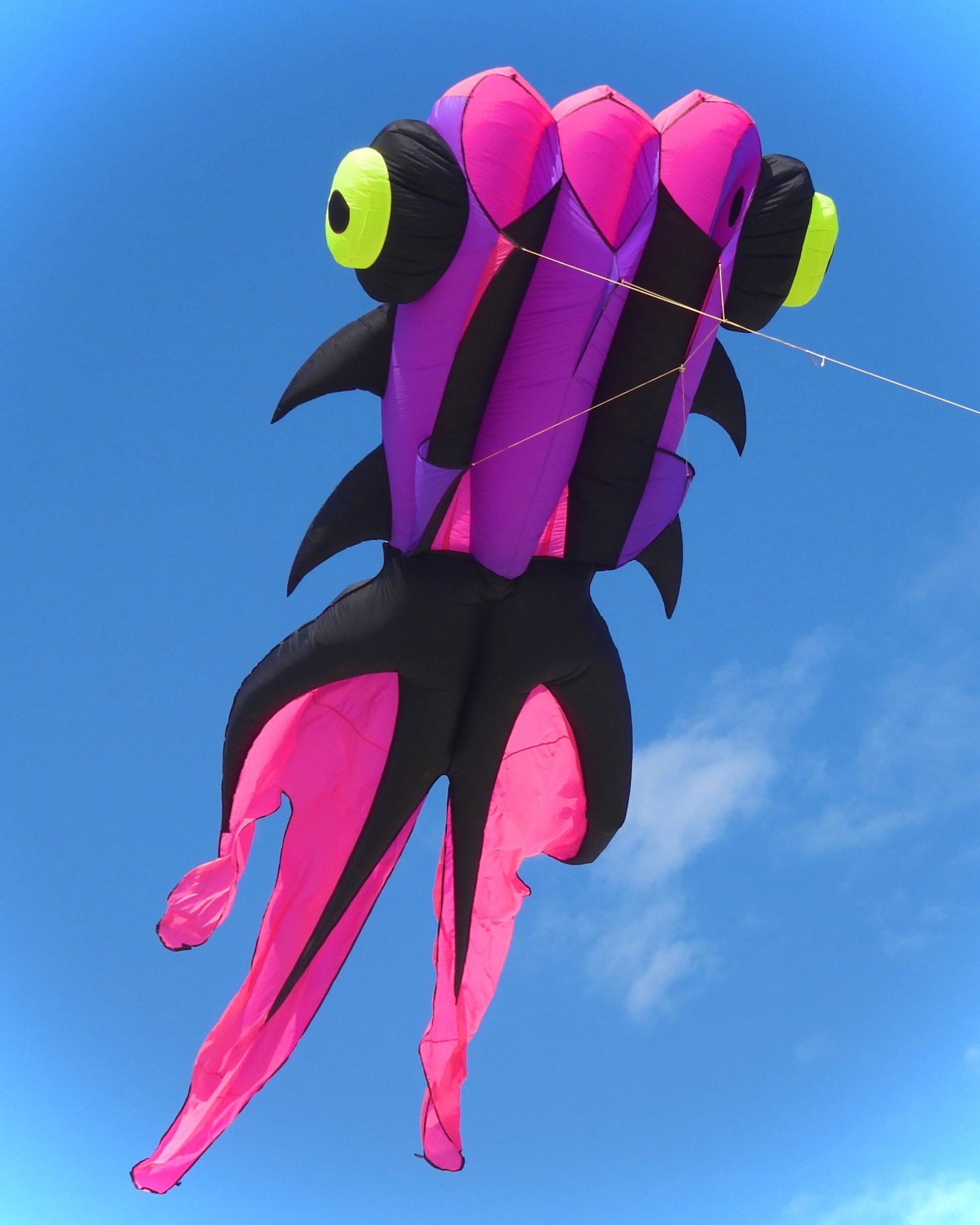 Colorful kite shaped like a fish against a blue sky