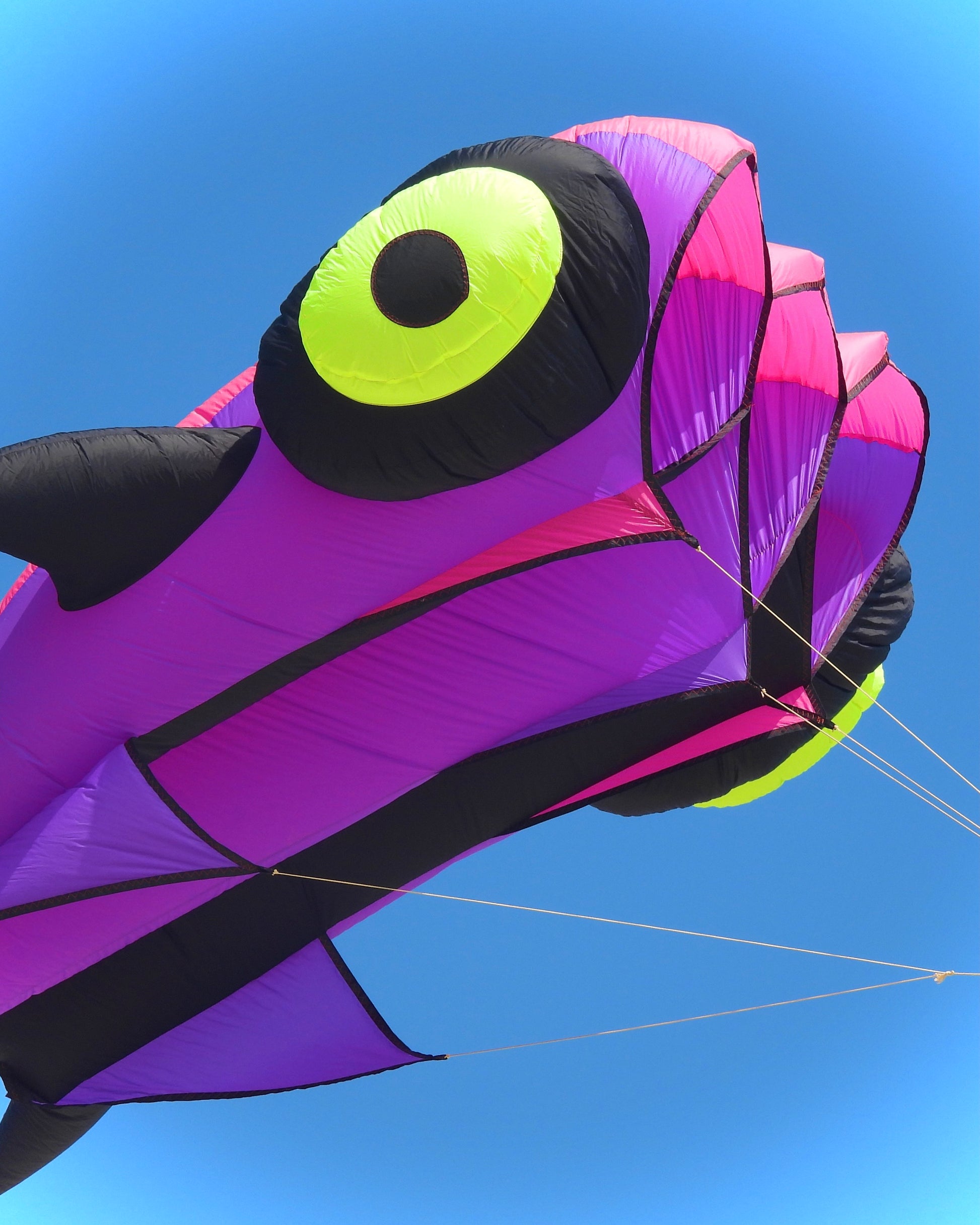 Colorful kite shaped like a fish against a clear blue sky