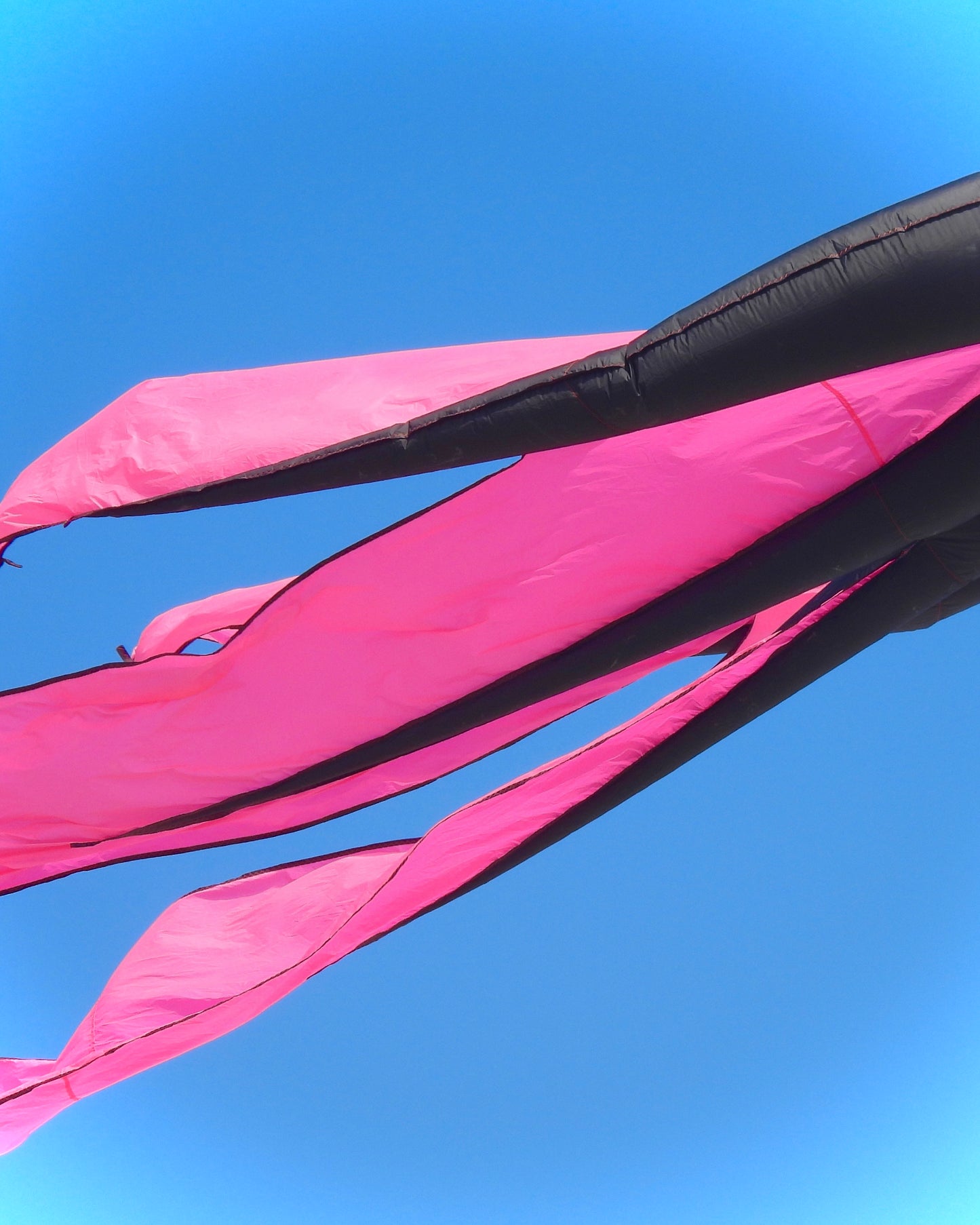 Pink kite tails against a clear blue sky