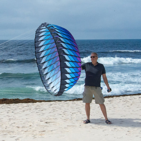 Person standing next to a blue and purple bol on a beach with ocean waves in the background