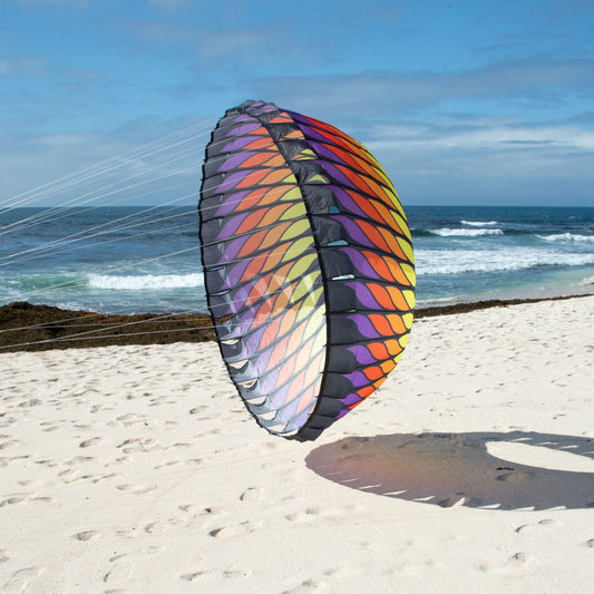 Colorful bol on a sandy beach with ocean in the background