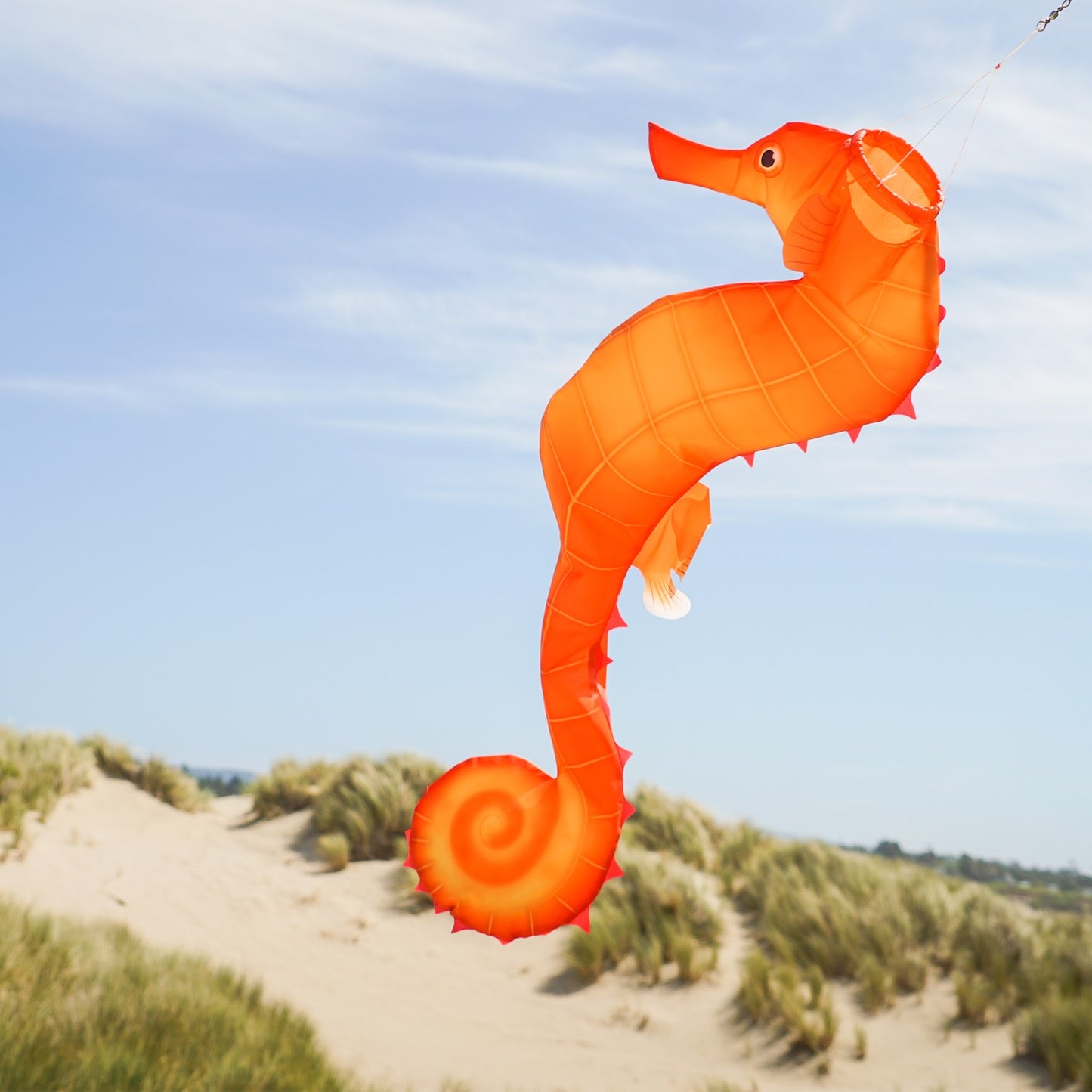 Seahorse 3D Windsock