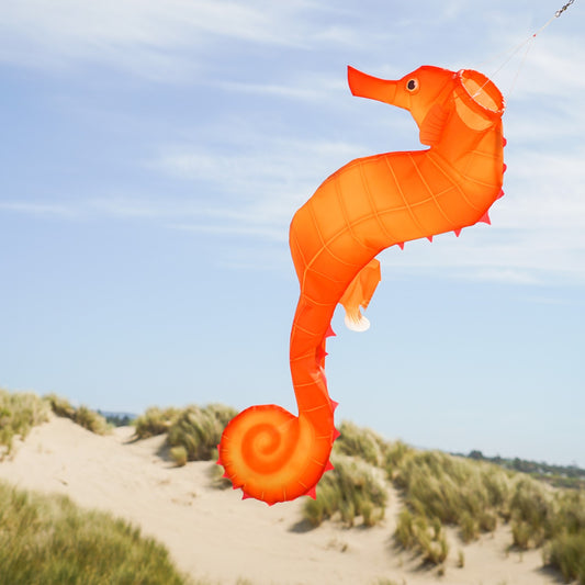 Seahorse 3D Windsock