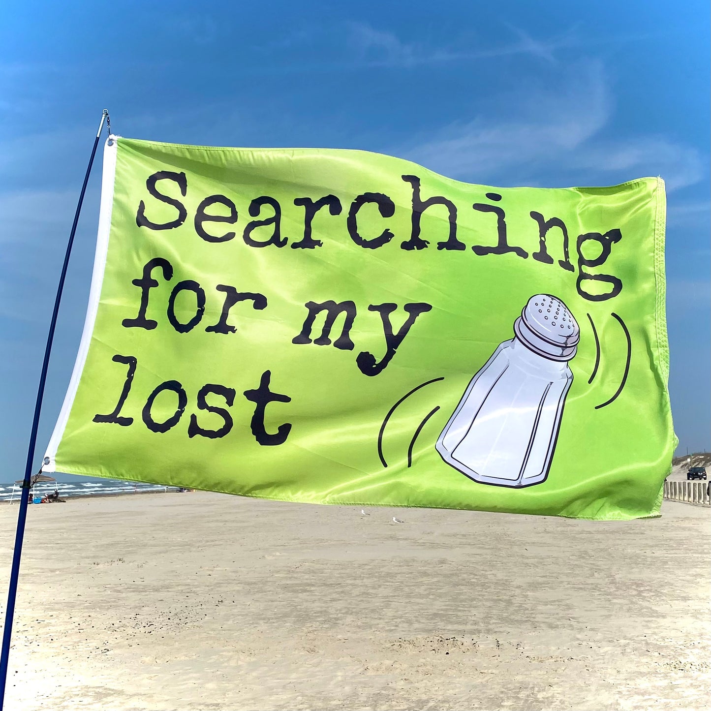 Green flag with text 'Searching for my lost' and a salt shaker graphic on a beach.