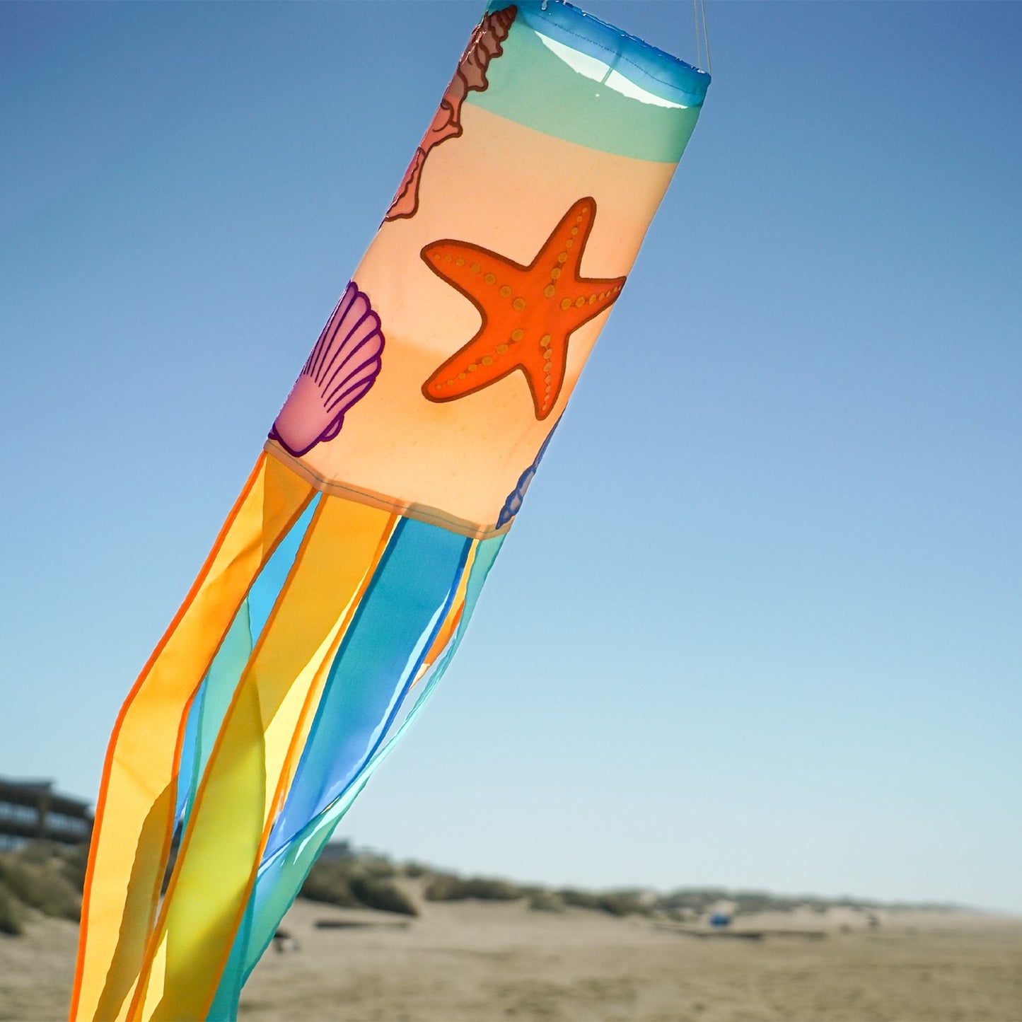 Seashells Windsock