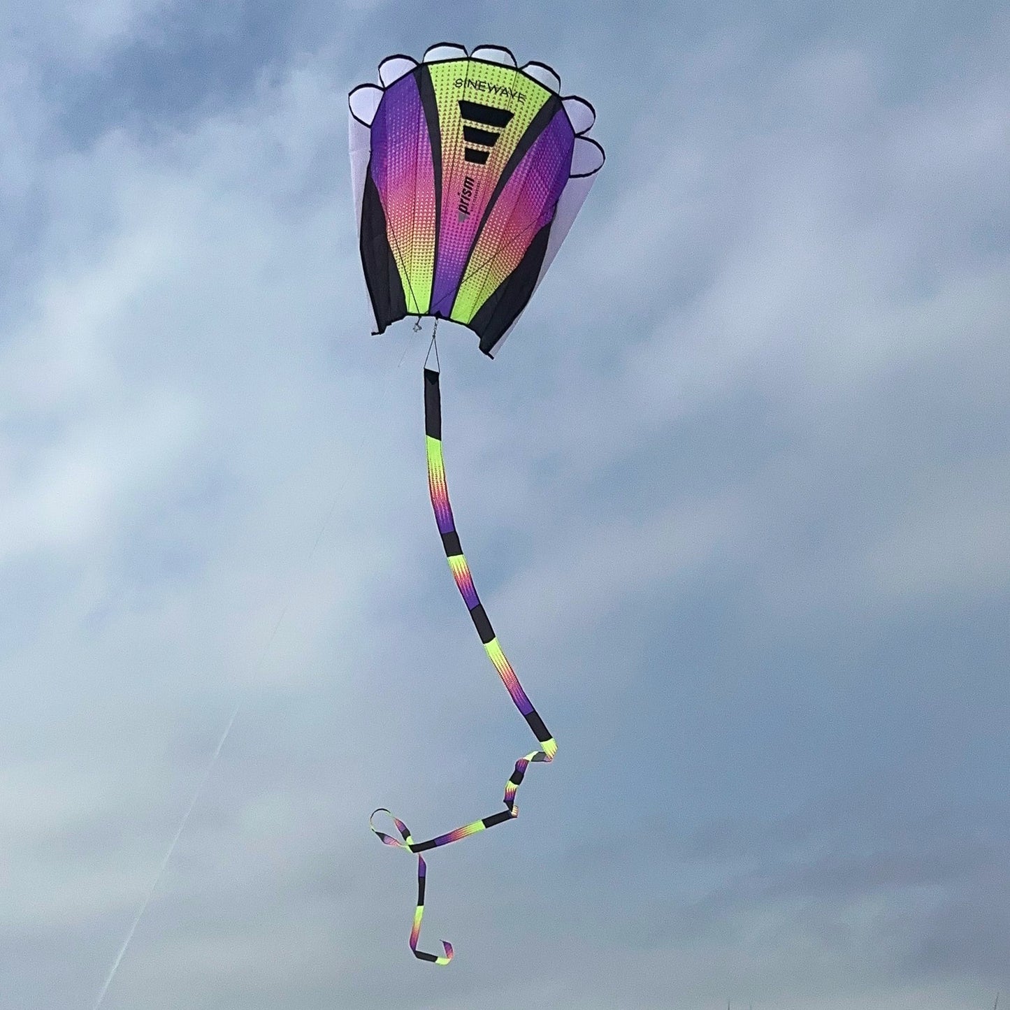 Colorful kite flying against a cloudy sky with grass at the bottom.