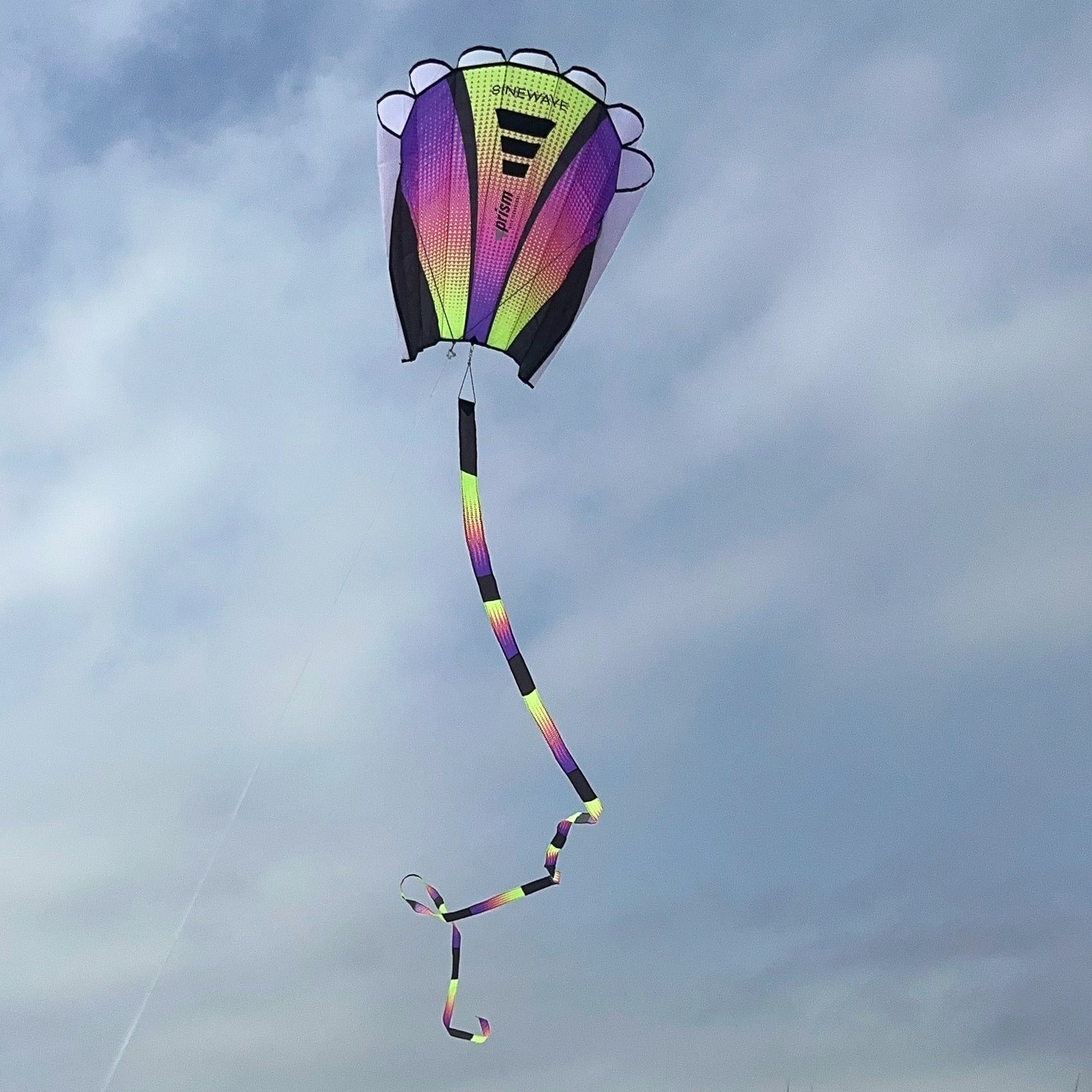 Colorful kite flying against a cloudy sky with grass at the bottom.