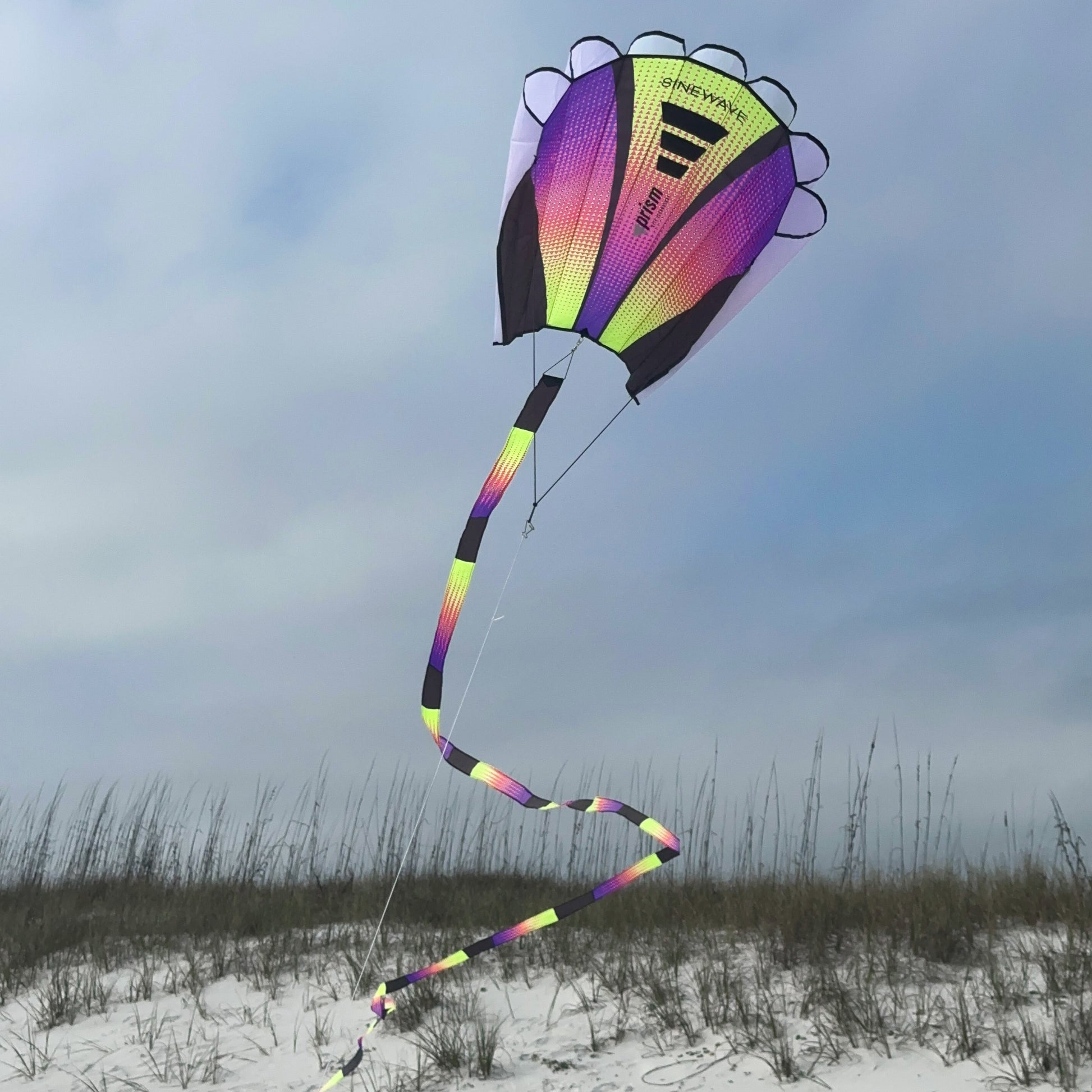Colorful kite flying in the sky with a beach and sand dunes in the background