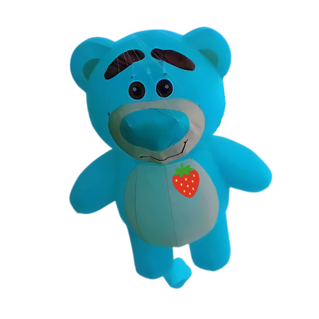 5m LED Strawberry Bear Line Laundry - Teal