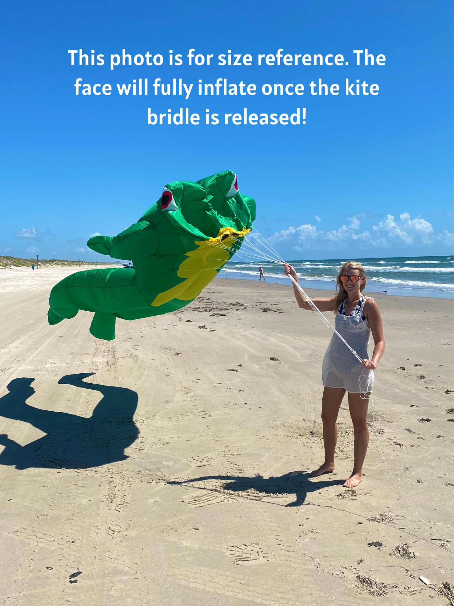 4.2M Le Frog Kite (Lightly Used)