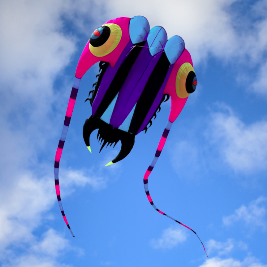 Pink Triangle Kite 7 sqm Trilobite Kite - Blue/Pink – Fly It Port A