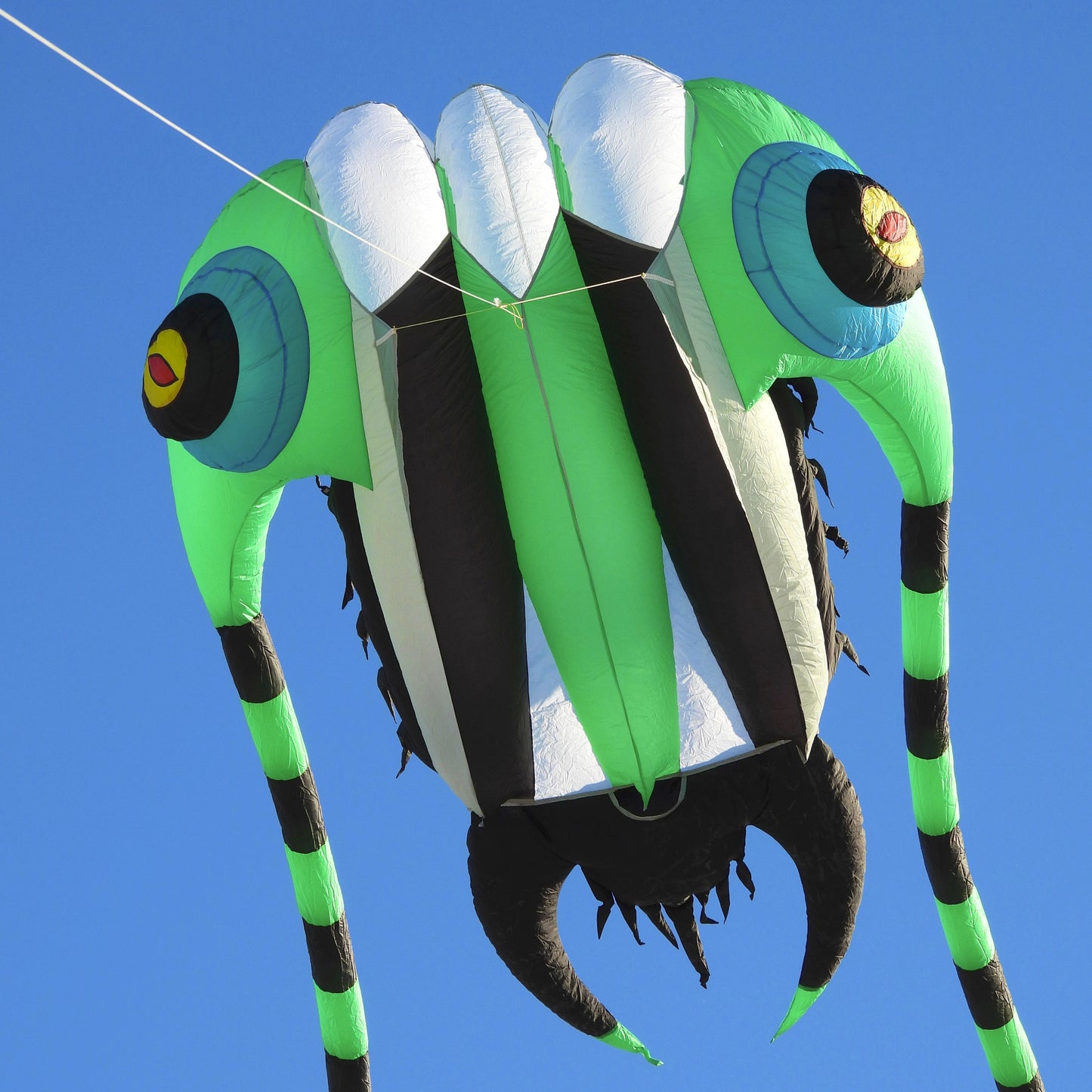 Large, colorful kite shaped like a trilobite against a clear blue sky.