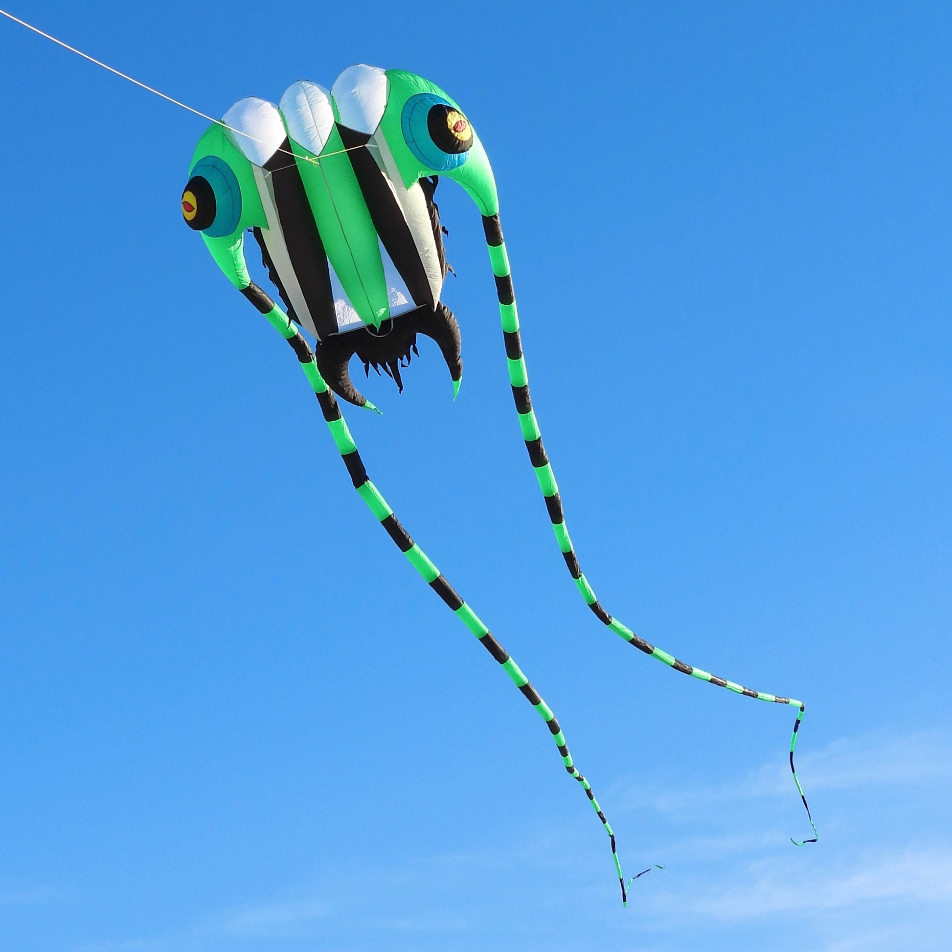 Colorful kite shaped like a trilobite against a clear blue sky