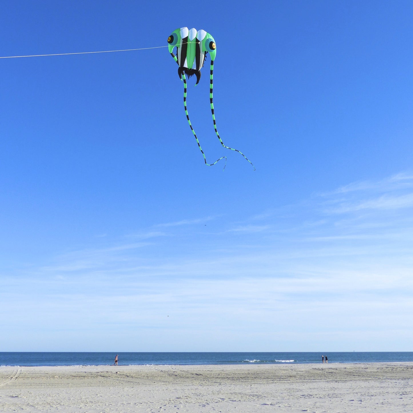 Kite flying over a beach with a clear blue sky