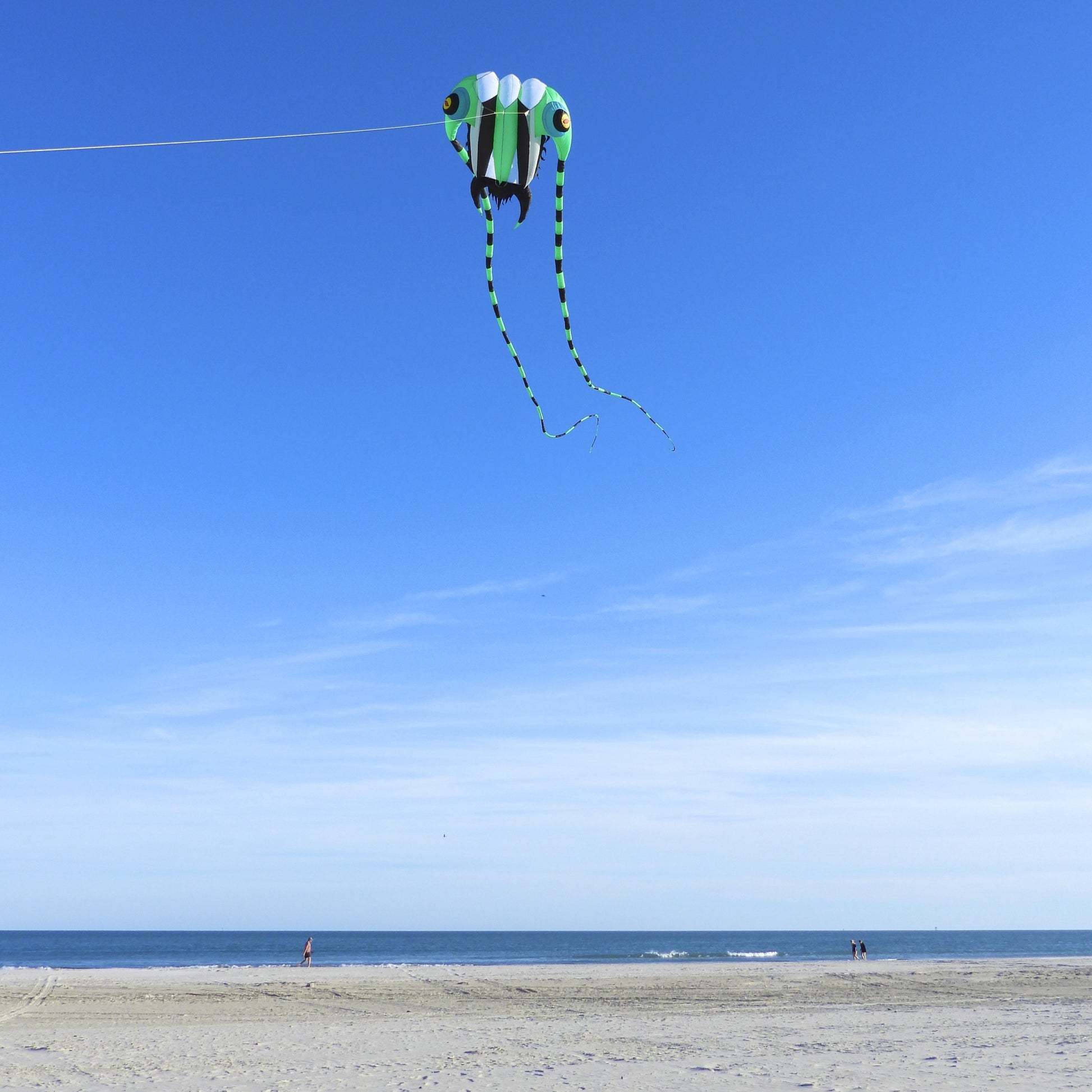Kite flying over a beach with a clear blue sky