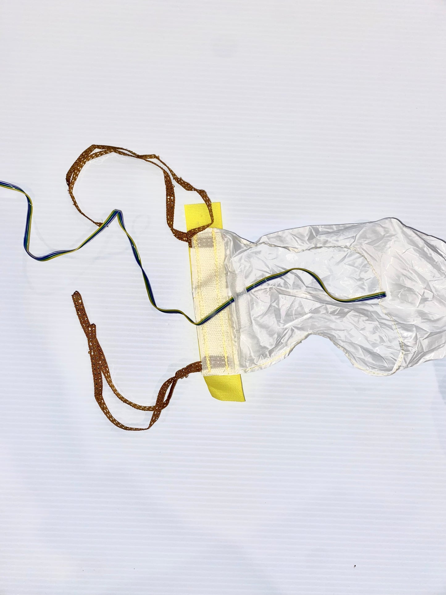 End of a tube tail that shows wiring  against a white background.