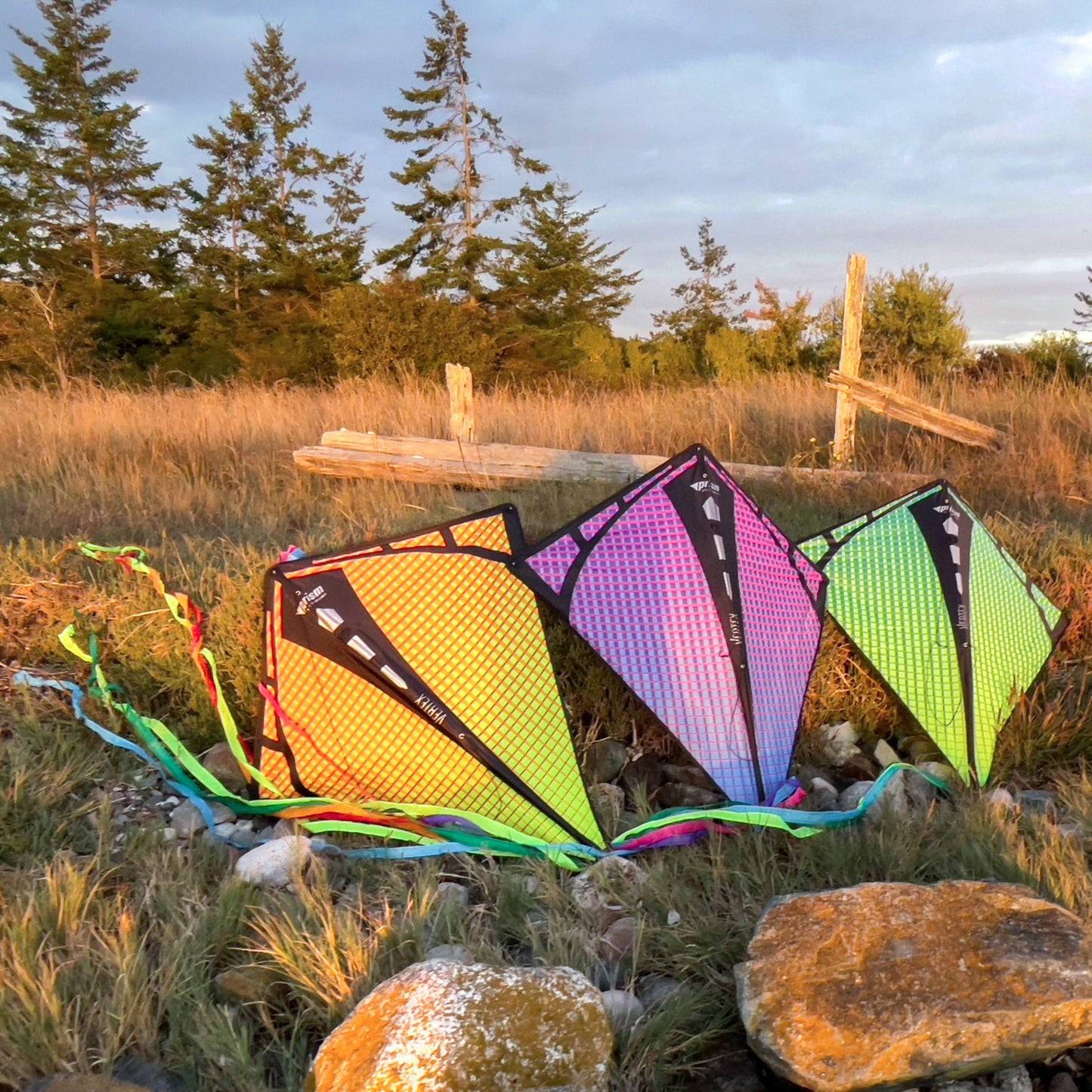 Three colorful kites on the ground with a natural background of trees and rocks.
