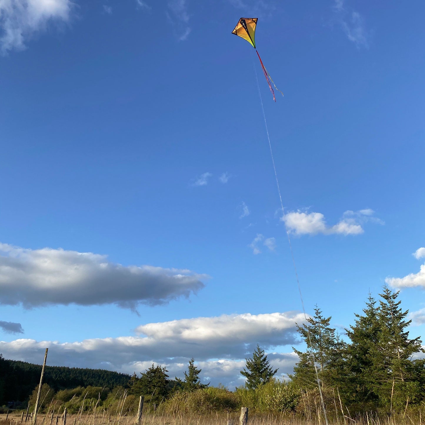 Kite flying in a clear blue sky with trees and grass below
