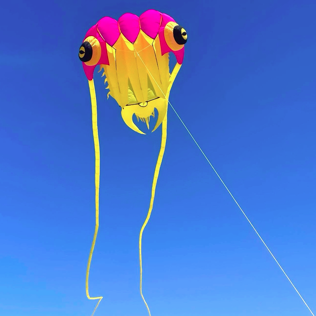 Colorful kite shaped like a trilobite against a clear blue sky