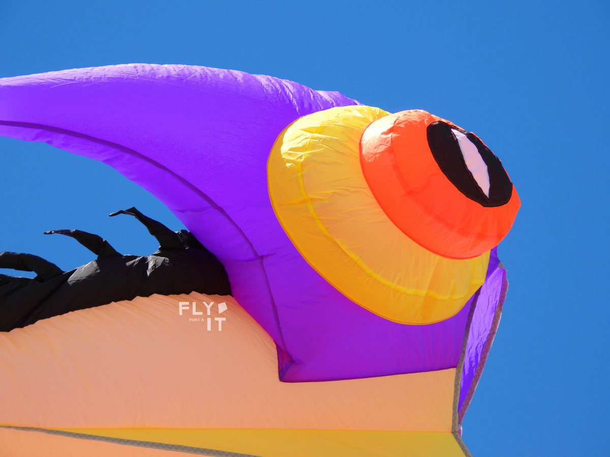 A close-up of a colorful inflatable trilobite-shaped structure, featuring a purple crest with a large yellow and orange eye motif, set against a clear blue sky. A black fabric structure is visible on the left side, and a white 'FLY IT' logo watermark is printed on the purple section.