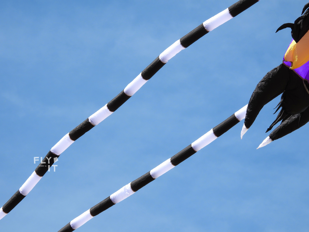 A close-up of a the black and white antennas of trilobite kite. A faint 'FLY KIT' watermark appears on the left.