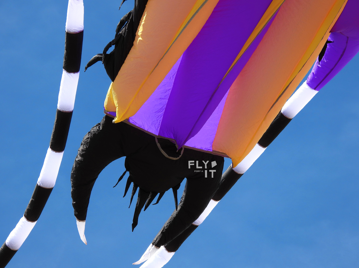 A colorful inflatable trilobite kite with bold purple, orange, yellow, black, and white sections, photographed against a clear blue sky. A visible logo reads FLY IT.