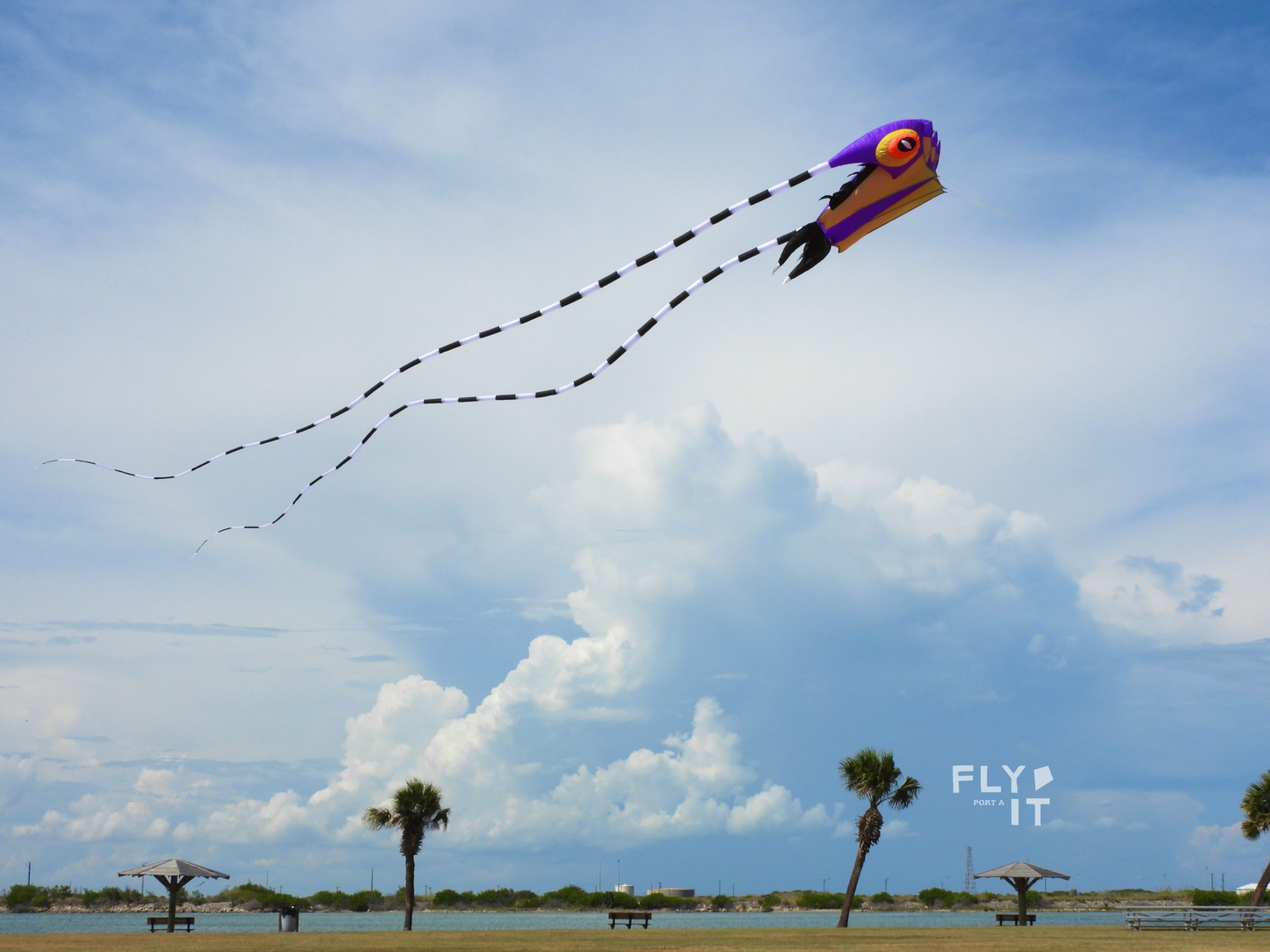 A purple and gold trilobite kite with long black tails flying in a blue sky with clouds, over a beach scene with palm trees and umbrellas. A 'FLY IT' logo is visible in the bottom right corner.