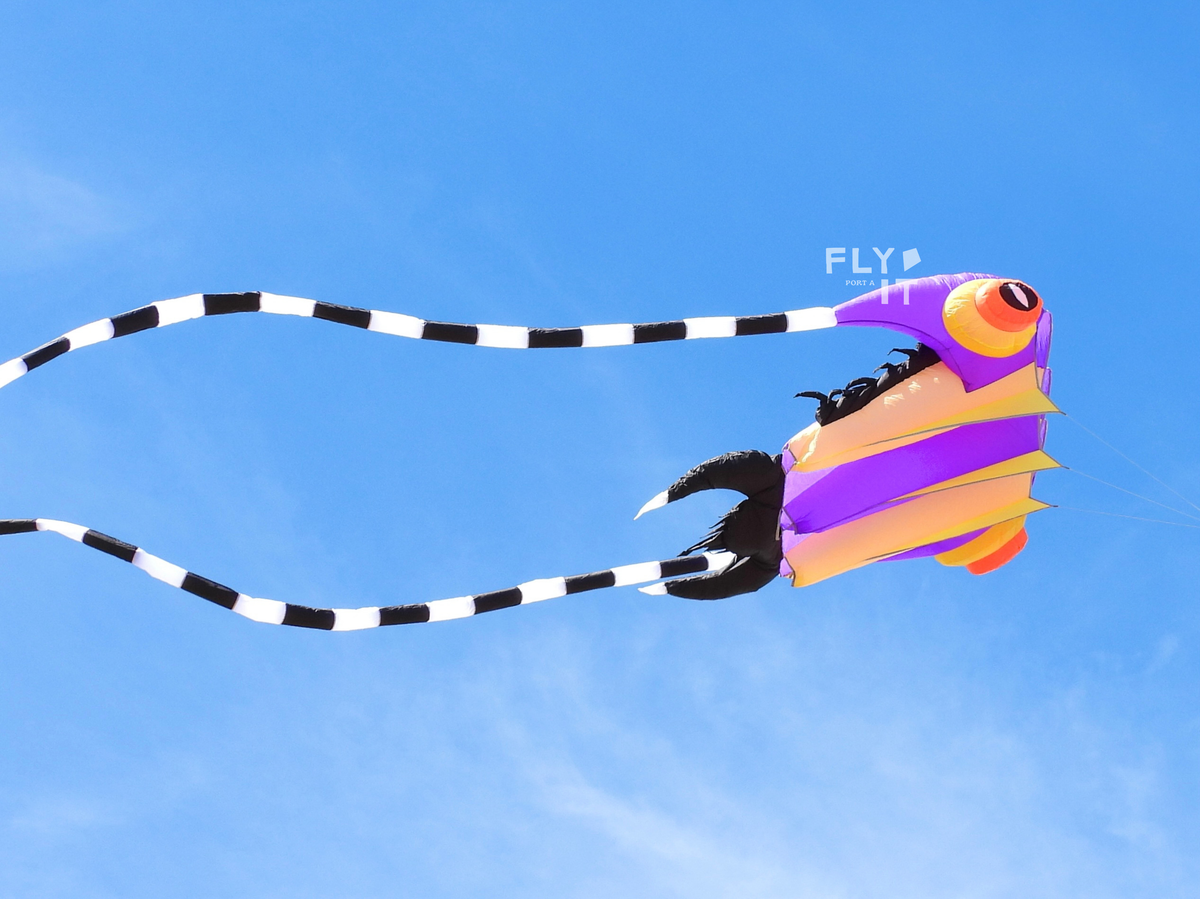 A colorful trilobite shaped kite with a long black-and-white striped tail flying against a clear blue sky. The kite features purple, orange, and yellow stripes with black details.
