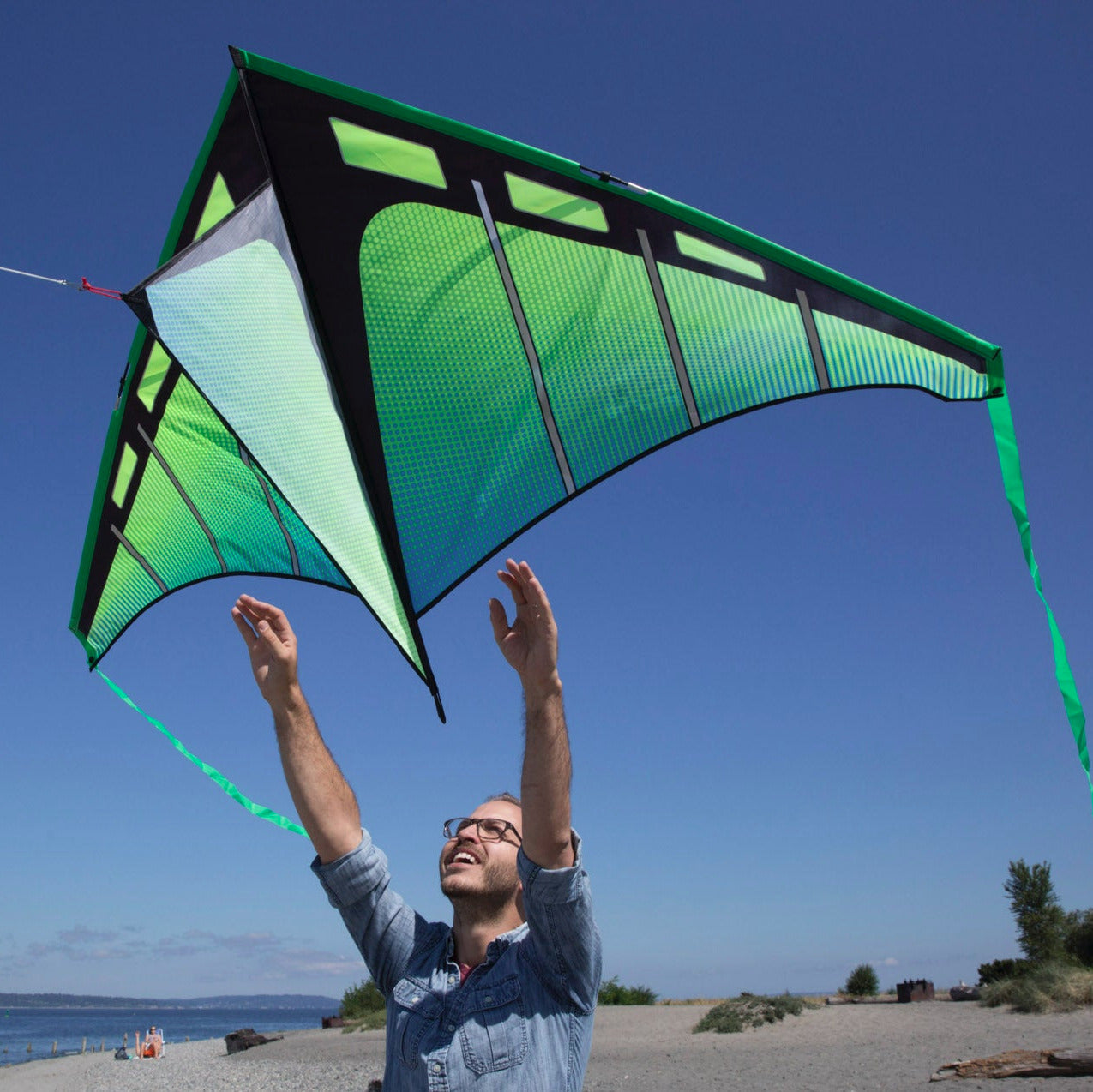 Person flying a green and black kite on a beach with a clear blue sky.