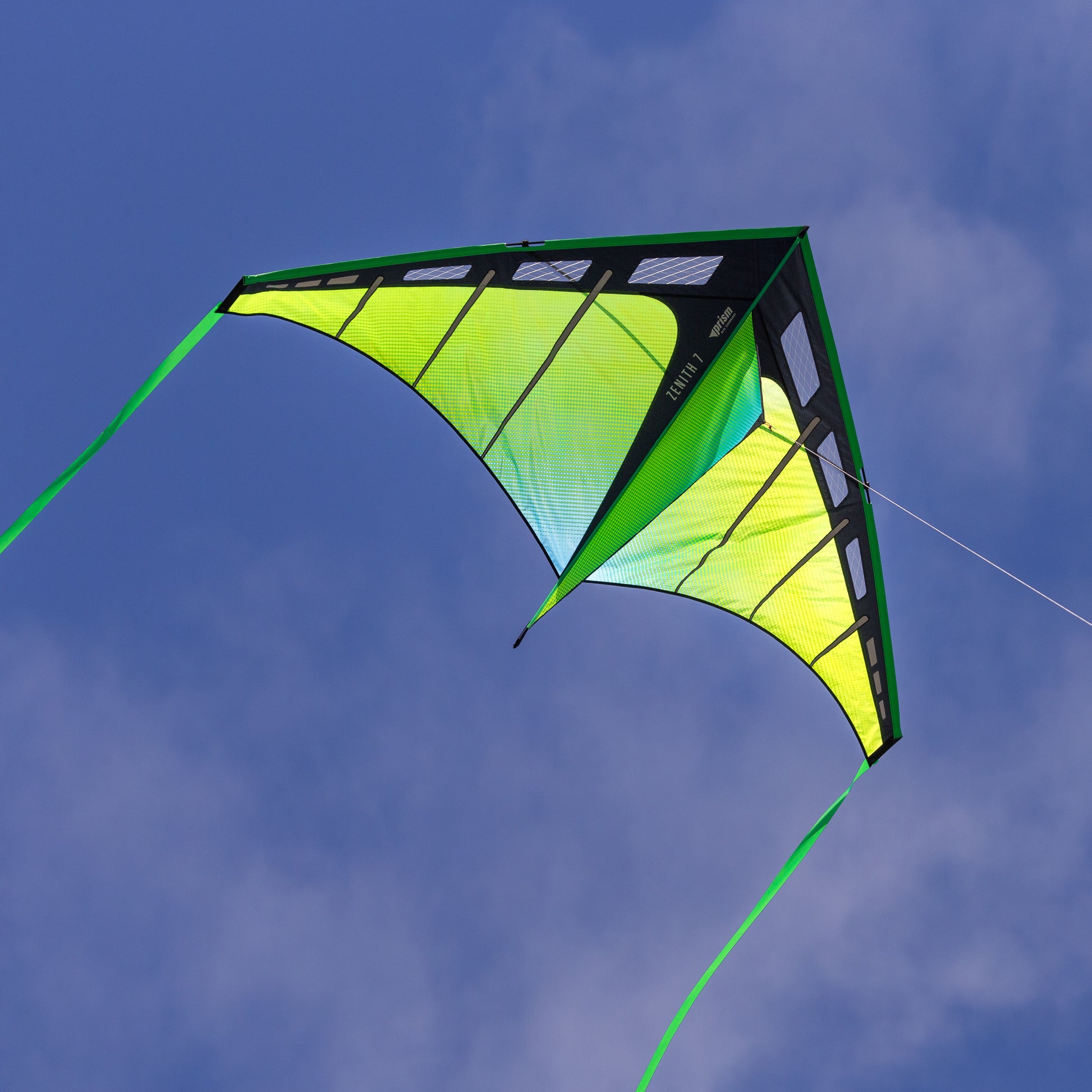 Green and black kite flying against a blue sky