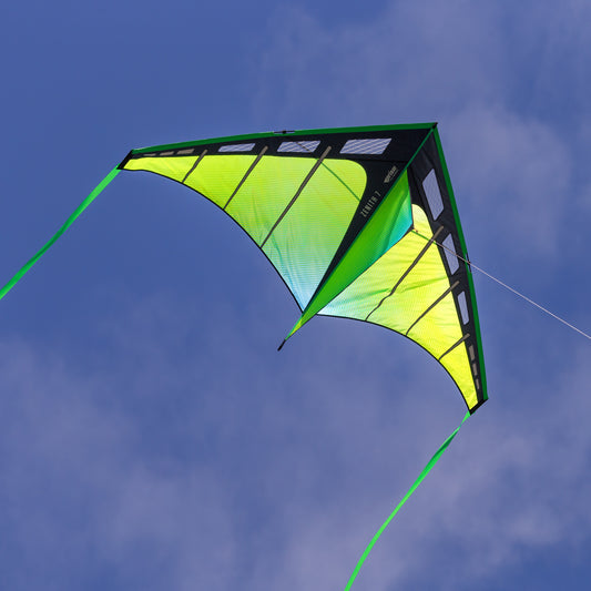 Green and black kite flying against a blue sky