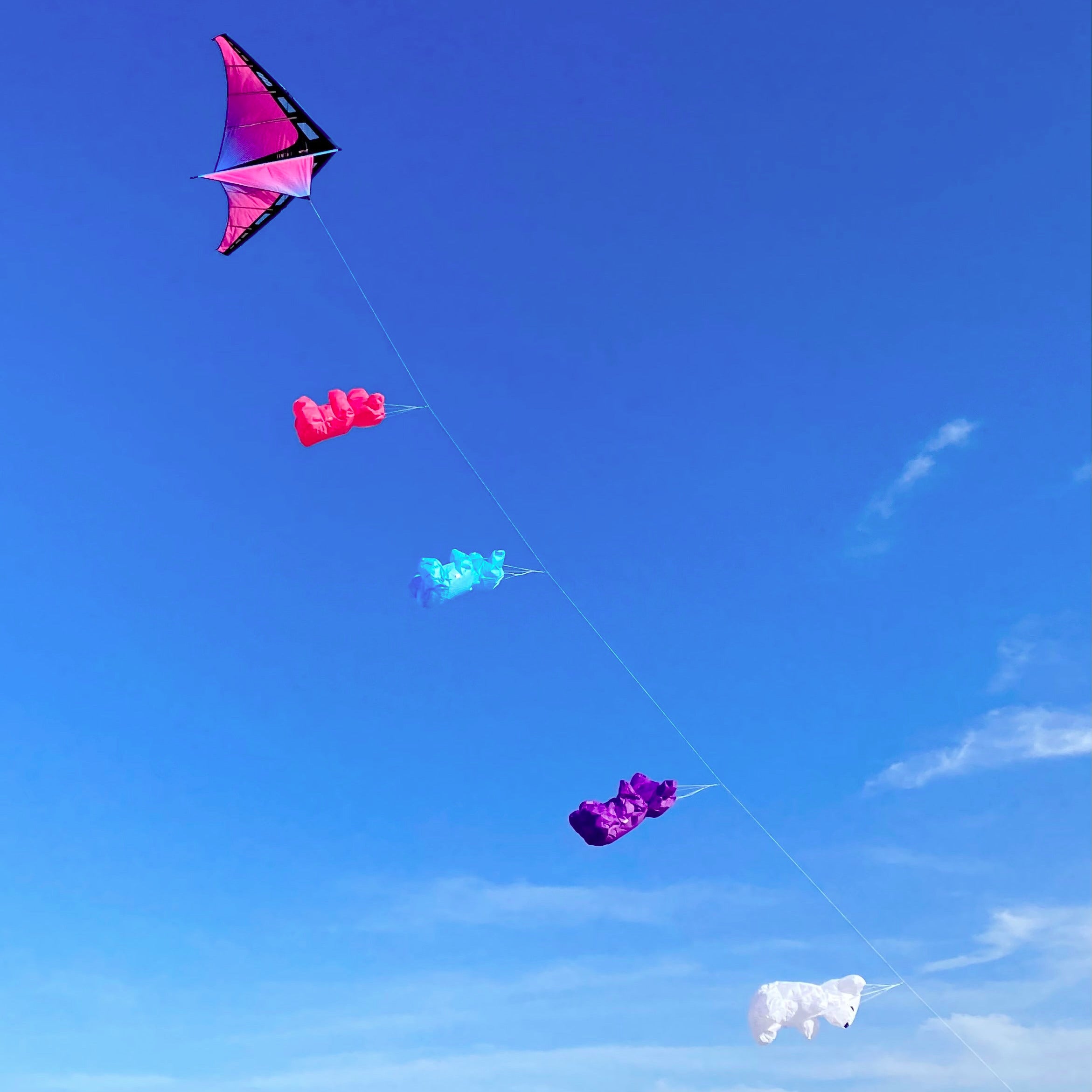 アウイナイト Zenith 7 Kite - Ultraviolet – Fly It Port A