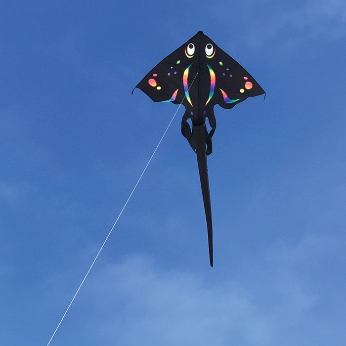 Stingray Kite - Black