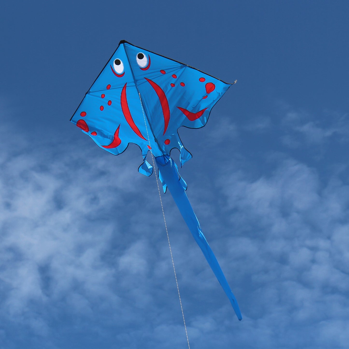 Stingray Kite - Blue